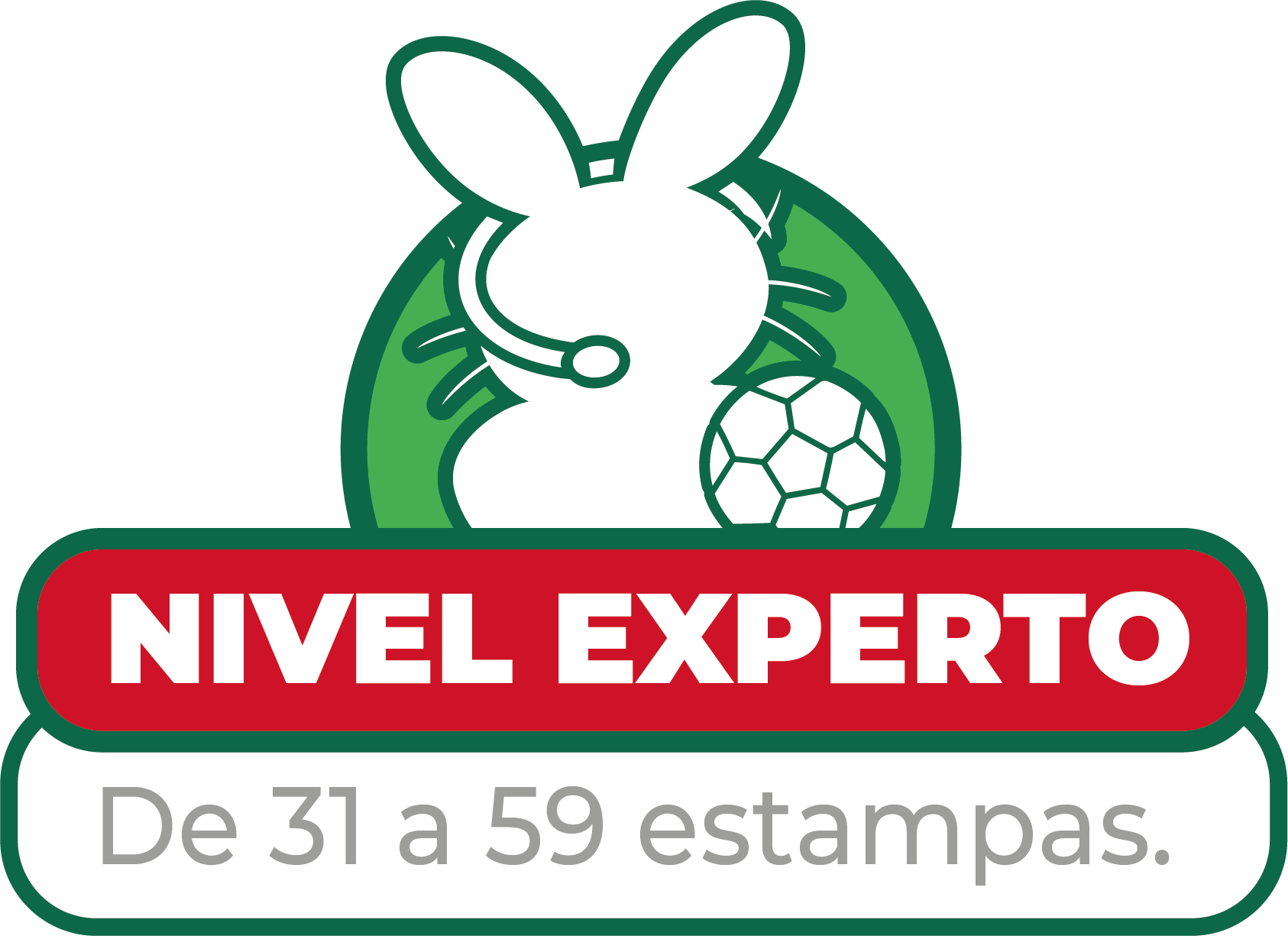 Experto